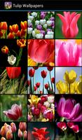 Tulip Wallpapers capture d'écran 1