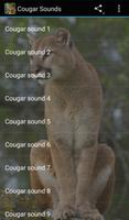 Cougar Sounds poster