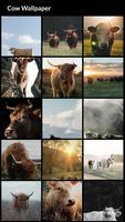 Cow Wallpapers تصوير الشاشة 1