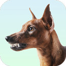 Dog Growling Sounds APK