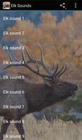 Elk Sounds Affiche