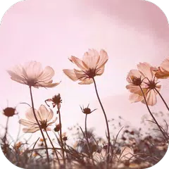 Floral Wallpapers APK download