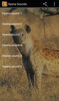 Hyena Sounds Poster