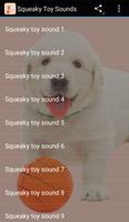 Squeaky Toy Sounds ポスター