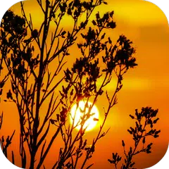 Sunset Wallpapers APK Herunterladen