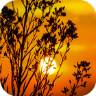 Sunset Wallpapers أيقونة