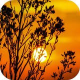 آیکون‌ Sunset Wallpapers