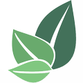 Leafs
