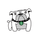 Team Sportsdog icône