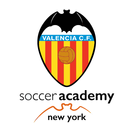 Valencia CF Academy NY APK