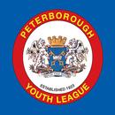 APK Peterborough & District YFL