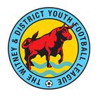Witney & District Youth FL icône