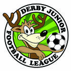 Derby Junior Football League icône