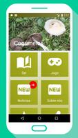 Cogumelos determinar o App gra Cartaz