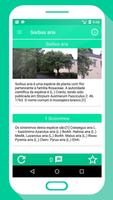 Árvores imagem de tela 2
