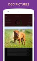 Dog Breeds Quiz screenshot 2