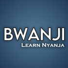 Learn Nyanja icono