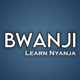 Learn Nyanja icono