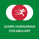 Tobo: Macarca Kelime Öğren APK