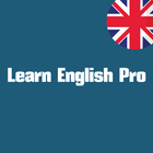Learn English Pro: All levels ícone