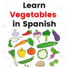 Learn vegetables Names in Spanish with Pictures icône