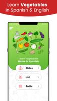 Learn vegetables Names in Spanish with Pictures Affiche