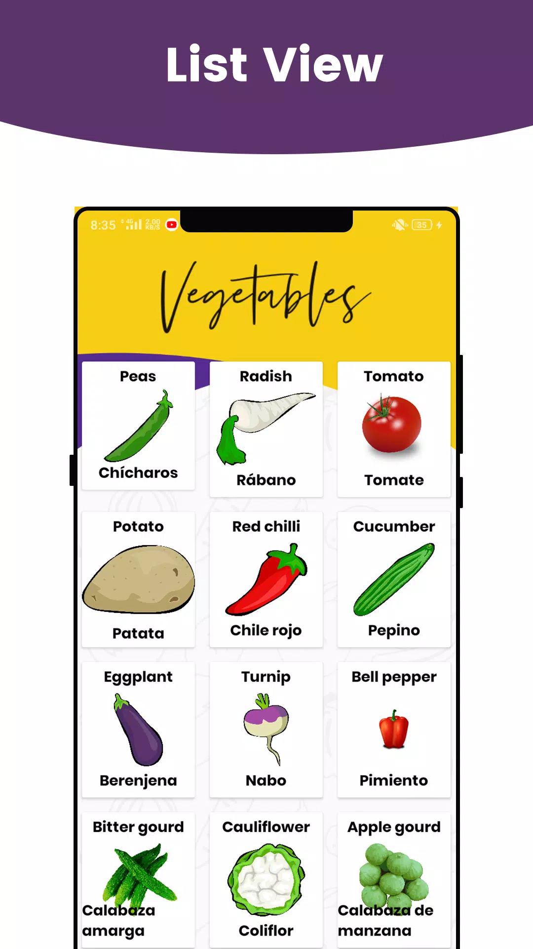 Vegetables Names In Spanish