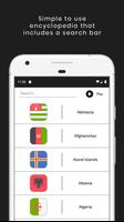 Learn & Play: World Flags Poster