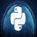 Learn Python Blockchain APK