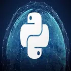 Learn Python Blockchain icône
