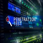 Learn Penetration Testing icône