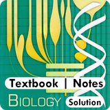 Class 12 Biology NCERT Solutio ícone