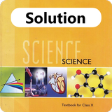Class 10 Science NCERT Solutio icône