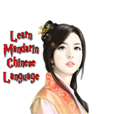 Learn Chinese Mandarin Offline icône