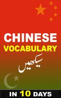 10 दिनों में शुरुआती के लिए चीनी भाषा बोलें स्क्रीनशॉट 1