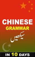 10 दिनों में शुरुआती के लिए चीनी भाषा बोलें स्क्रीनशॉट 3