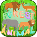 Learn animal forest :connect