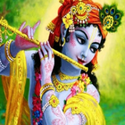 Shree Krishna Kirtan (Bhajan, Harinam Kirtan) ícone