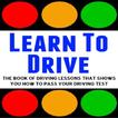 Learn Driving Manual Car