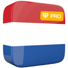 Learn Dutch Offline Pro Editor icône