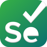 Selenium Learning Master иконка