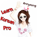 Learn Korean Offline Pro Edito APK
