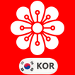 Learn Korean Flashcards icon