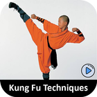 Learn Kung Fu Techniques icône