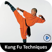Learn Kung Fu Techniques