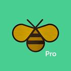 Kinder Words Pro biểu tượng