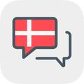 Danish Grammar Guide