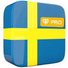 Learn Swedish Offline Pro icône