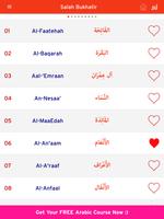 Quran Mp3 by Salah Bukhatir Screenshot 2