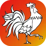 Bird Coloring for Kids APK